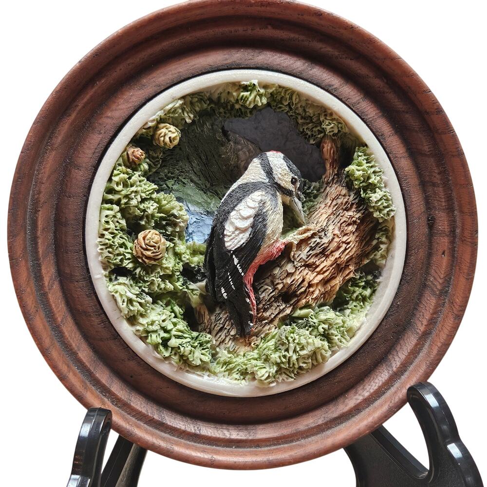 VTG Christopher Holt Co The Natures Window Collection 3D 12 Woodpecker Wall Art